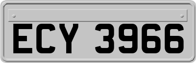 ECY3966