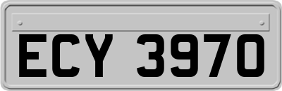 ECY3970