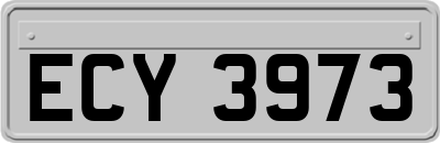 ECY3973