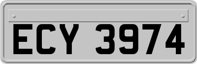 ECY3974