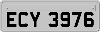 ECY3976