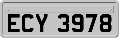 ECY3978