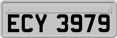 ECY3979