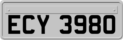 ECY3980