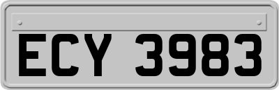 ECY3983