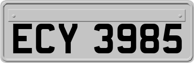 ECY3985