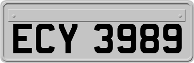 ECY3989