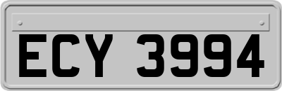 ECY3994