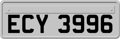 ECY3996