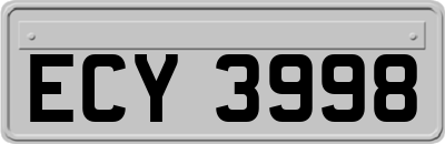 ECY3998