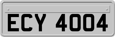 ECY4004