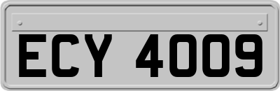 ECY4009