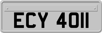 ECY4011