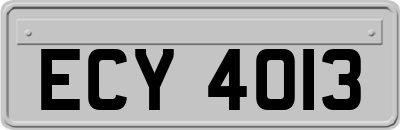 ECY4013