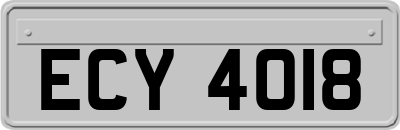ECY4018
