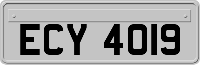 ECY4019