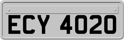 ECY4020