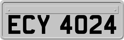 ECY4024