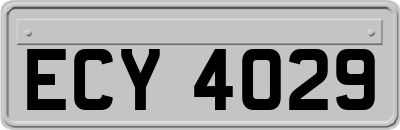 ECY4029
