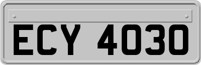 ECY4030