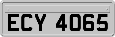 ECY4065