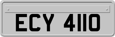 ECY4110