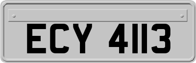 ECY4113