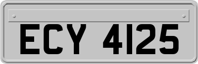 ECY4125