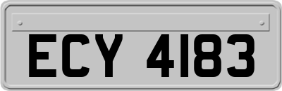 ECY4183