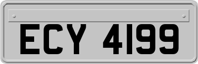 ECY4199