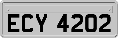 ECY4202