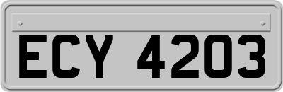 ECY4203