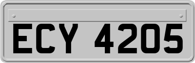 ECY4205