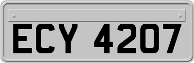 ECY4207