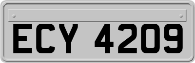 ECY4209
