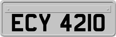 ECY4210