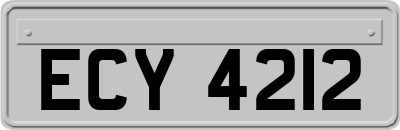 ECY4212