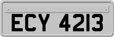 ECY4213