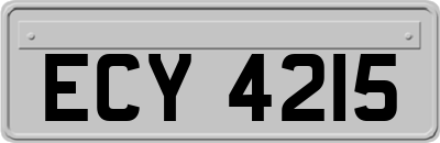 ECY4215