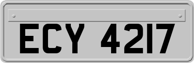 ECY4217