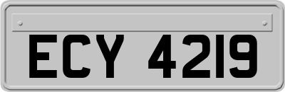 ECY4219