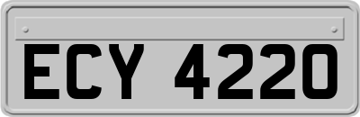 ECY4220
