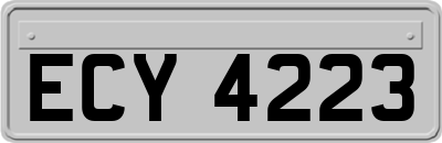 ECY4223