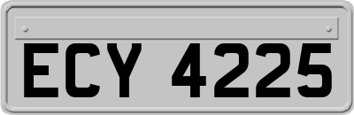 ECY4225