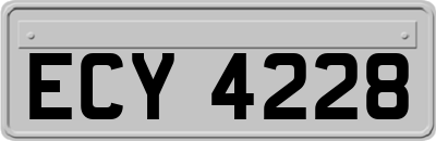 ECY4228
