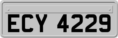 ECY4229