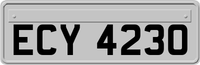 ECY4230