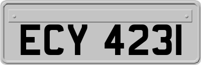 ECY4231