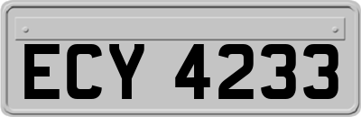 ECY4233