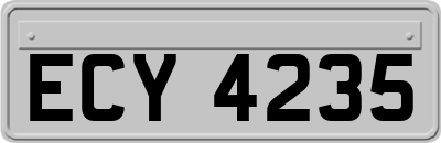 ECY4235